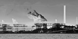 Zug Island Industrial Complex 5255.jpg
