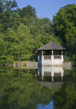 Summer At The Duck Pond