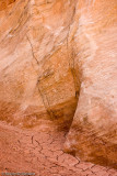 DSC2121