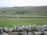 Walking near Wensleydale