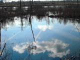 Reflected Cloud