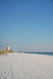 DSC_3938.JPG