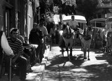 horse drawn carriage.jpg