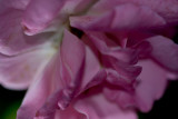 07112008-002