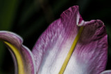 07062008-004