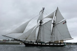 691 Douarnenez 2008 IMG_9652 DxO web.jpg