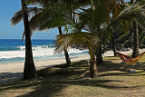 Ile de la Runion - Plage de Grand Anse prs de Petite le