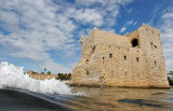 Ile de Saint Honorat - Photos d'une plongée au pied du monastère fortifié
