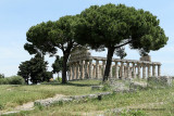 Visite du site archéologique de Paestum