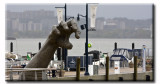 DC_Harbor_0660.jpg