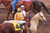 Flagstaff Horseshow