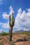 Superstition Mountains