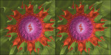 Julia flower cross-eyed stereogram.jpg