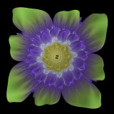 Julia flower #3