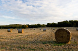 _MG_3261 haybales.jpg