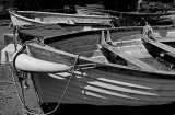 _MG_6820 Fishguard bw.jpg