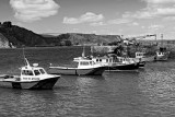 _MG_7267 Tenby bw.jpg