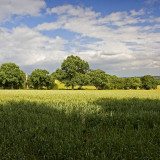 _MG_7473 Flatford.jpg