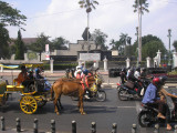P1010073.JPG