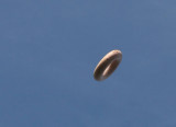 ufo ?