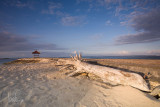 Bali Beach