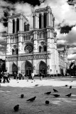 Notre Dame