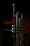 _IMG_1069.jpg