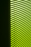 Afternoon Office Shadows