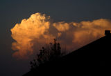 Over the Rooftops