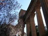 Picture 011.jpg