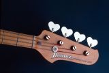 Ibanez.jpg