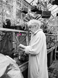 Mom working in greenhouse