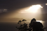 _IGP3676 Morning sunlight Lyttelton Harbour copy.jpg