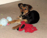 lola4.jpg