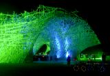 burning_man_2006