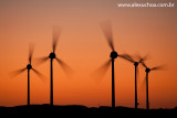 Parque Elico da Prainha, Aquiraz, Ceara julho2009 7030.jpg