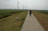 Through artificial polderland in Flevoland