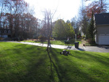yard_mow.jpg