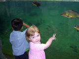 bronx_zoo4.jpg