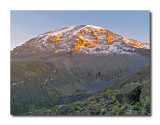 Kilimanjaro: The Roof of Africa