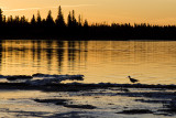 sunset 102608_MG_6212