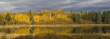 scenery 093006_MG_0241