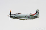 124143/RM-205  A4DN Skyraider  VA176
