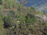 Our campsite near Tingtibi, Shemgang Road, Bhutan