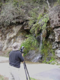 Gerald photographing Golden Langurs, Shemgang Road, Bhutan