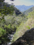 Forest valley, Tingtibi, Bhutan