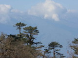 View from Yotung la, Bhutan