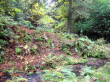 Victorian Folly, Dalzell Woods, Motherwell