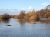 River Clyde at Carbarns Haugh