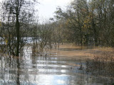 The approach path to the Marsh Hide, Barons Haugh